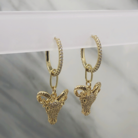 Aretes Huellitas